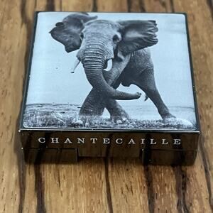 Chantecaille Luminescent Eye Shade Elephant Shimmering Taupe Grey 2.5g